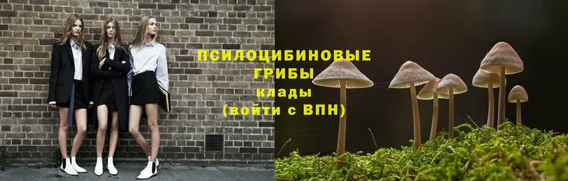 Галлюциногенные грибы Magic Shrooms  как найти закладки  Асбест 